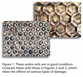 cong ty in, in an , c&ocirc;ng ty in